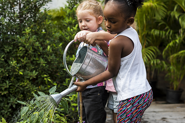 3 kid-friendly gardening activities for STEAM learning